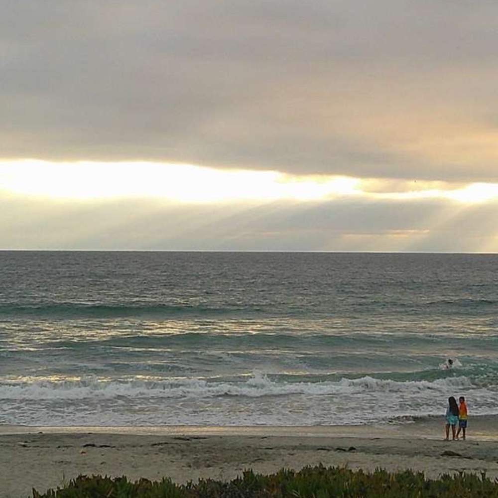 Meet your Posher, Quinn